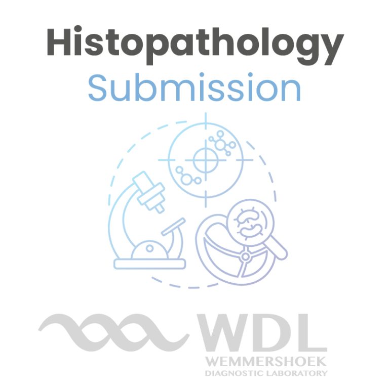 WDL Histopathology Submission