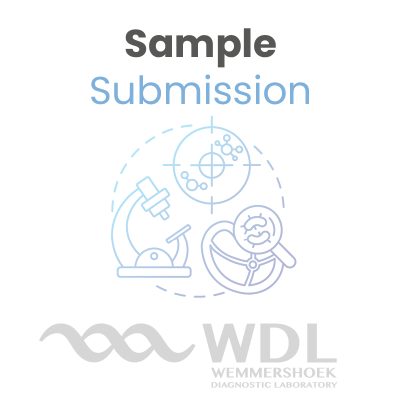 WDL Sample Submission