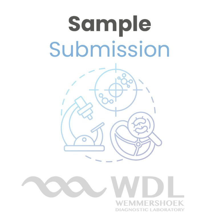 WDL Sample Submission